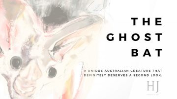 ghost-bat-3-1080×675