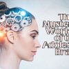 The-Mysterious-Workings-of-the-Adolescent-Brain.jpg